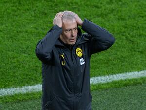 لوسيان فافر