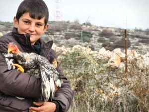 No Kidding; A Chicken Was Behind Border Tensions Between Lebanon and Israel