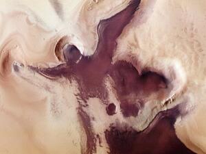ESA's Mars Express (Twitter)