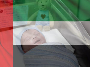 العلم الإماراتي