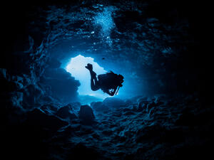(Shutterstock)