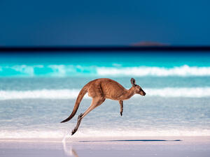 (Shutterstock)