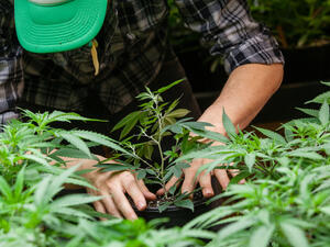 (Shutterstock/ File Photo)