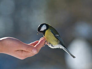  (Shutterstock)	