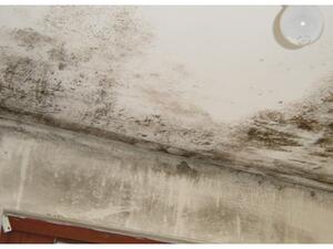 غلي الغلاية عند الحاجة فقط غلي الغلاية عند الحاجة فقط