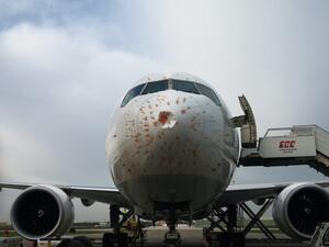 Turkish Airlines flight #TK6471, a Boeing 777-F, struck a flock of birds on approach to Istanbul-Atatürk Airport, Turkey. (Twitter)