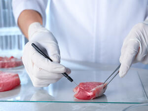  (Shutterstock)	