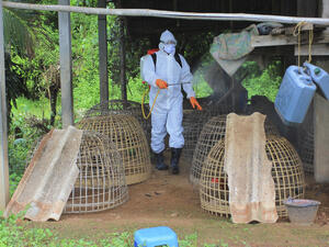 (Shutterstock/ File Photo)