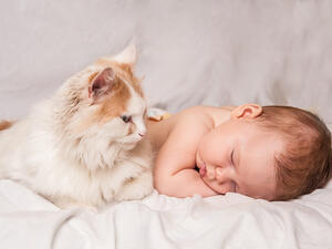  (Shutterstock)	