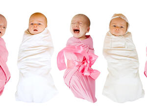  (Shutterstock)