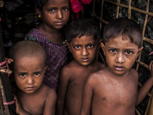 Rohingya refugees  (Shutterstock)