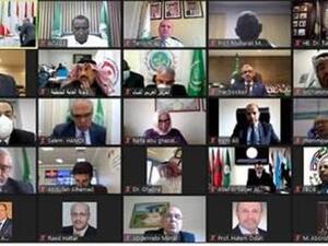 Abu-Ghazaleh Participates in the 50th Session of the Higher Coordination Committee for Joint Arab Action