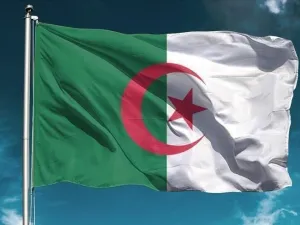 الجزائر 