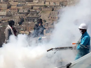 اليمن 