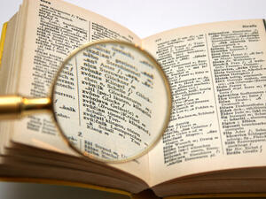  (Shutterstock)	