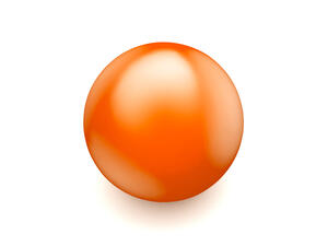  (Shutterstock)	