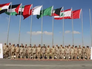 يستنثي القرار الدول التي ترتبط مع مصر باتفاقيات ثنائية
