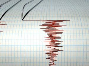 هزة أرضية بقوة 5.9 درجة تضرب المحيط الهادي