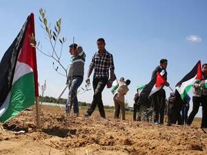 فلسطين تحيي ذكرى يوم الارض