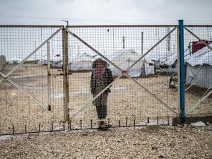 Syria's chemical weapons