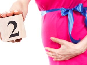 تبويض المرأة ذات الدورة الشهرية التي تبلغ 28 يوماً بشكل عام في اليوم الرابع عشر