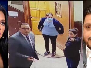 Rania Youssef Mohamed Henedy Egypt Child Molester girl molesting pedophilia pedophile