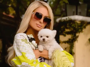 he Hilton heiress admitted she was planning an "intimate" wedding to Carter.