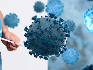 كورونا والسمنة