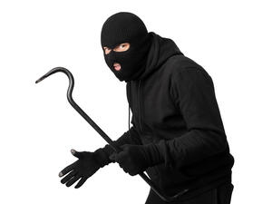 The cat killer 