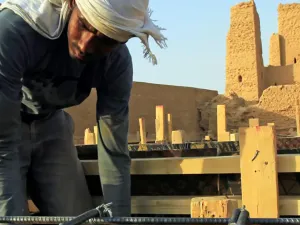 عامل مصري