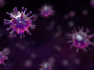 فيروس كورونا