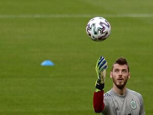 دافيد دي خيا