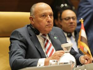 وزير الخارجية المصري سامح شكري