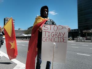 Eritrean troops fighting in Tigray