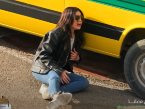هيفاء وهبي