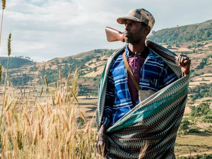 Eritrean forces are still in Tigray region