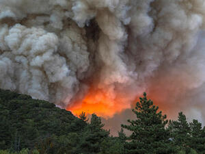 حريق في الولايات المتحدة