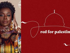 Viola Davis Palestine Sheikh Jarrah PLM Israel settlers soldiers