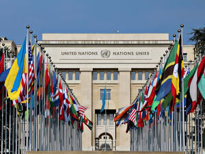 French NGOs calls on UN to form committee to probe into unaccompanied minors