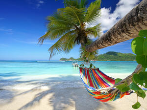 Romantic cozy hammock in the shadow of the palm on the tropical beach by the sea