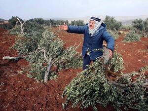 الضفة الغربية