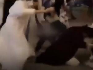 مشاجرة جماعية بين فتيات في الرياض