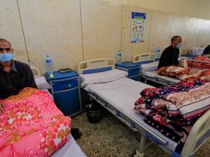 الفطر الاسود