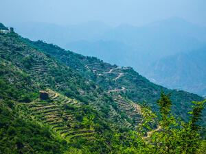 Abha Jazan Mountain 