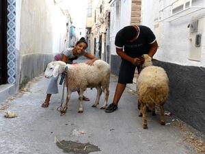 تخصيص الأموال المخصصة لشراء الأضحية من قبل كل عائلة لتوفير العنصر البشري للمستشفيات