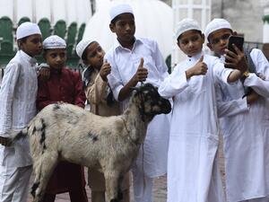 A member of Jordan political committee submits her resignation