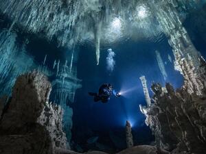 Ocean Art Underwater Photo Competition 