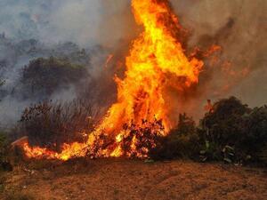 one killed in turkey forest fire