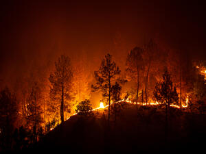 Forest fires in Turkey kill 3