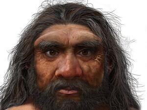 Homo longi 